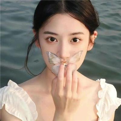 独眼查理